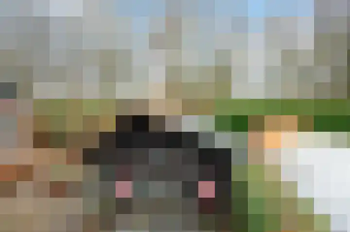 Leemweg 45 Zwartebroek thumbnail 41