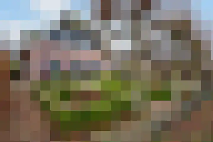Leemweg 45 Zwartebroek thumbnail 48