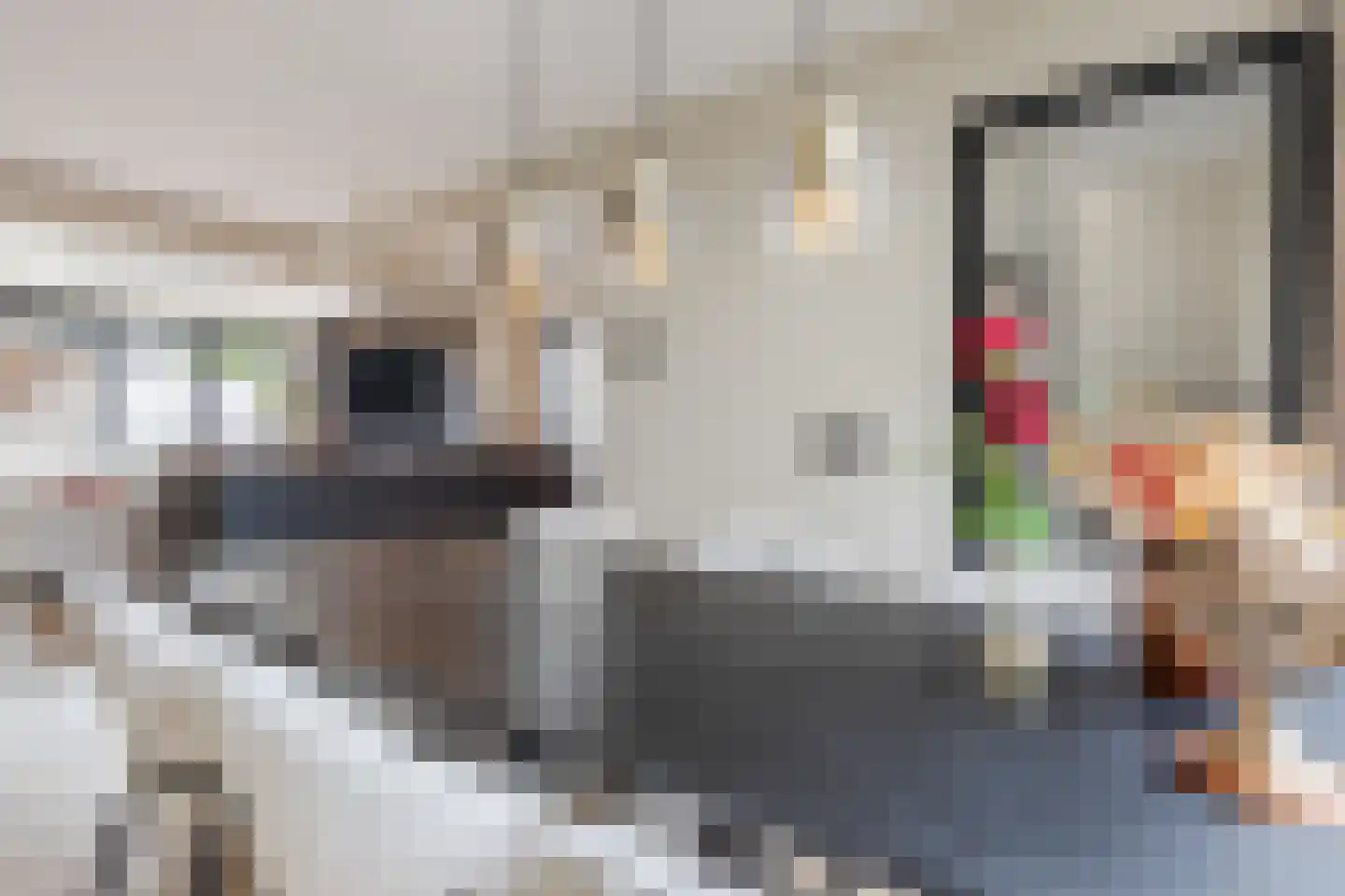 Leemweg 5 Wijchen thumbnail 18