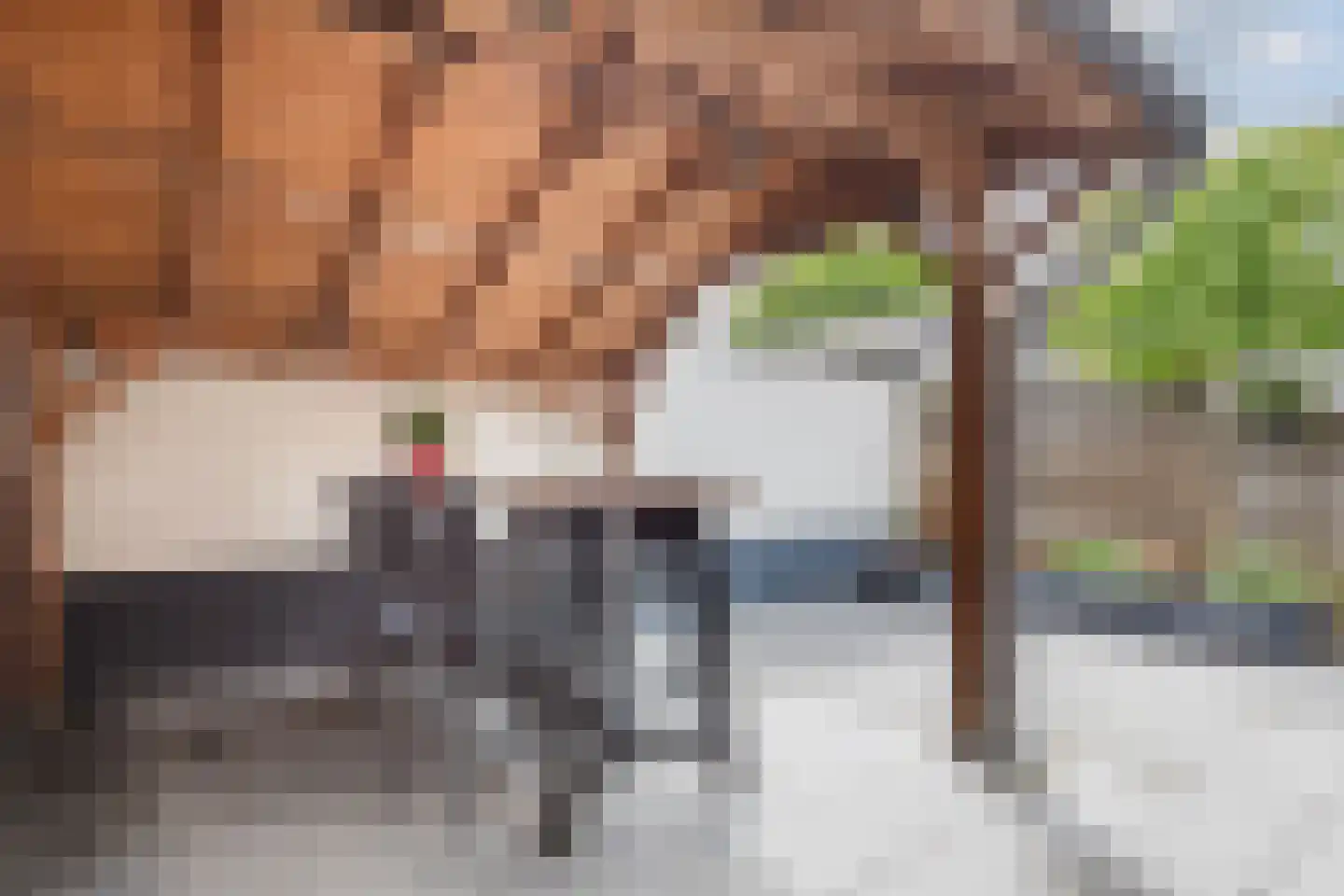 Leemweg 5 Wijchen thumbnail 37