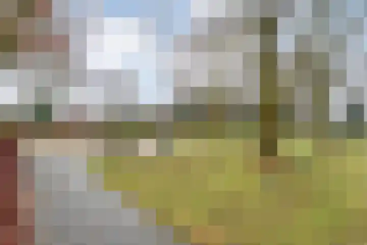 Leemweg 60 Nieuw-Amsterdam thumbnail 4