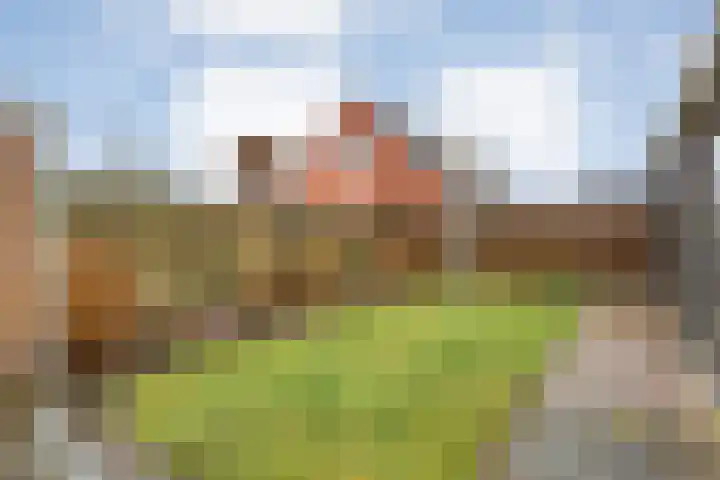 Leemweg 60 Nieuw-Amsterdam thumbnail 43