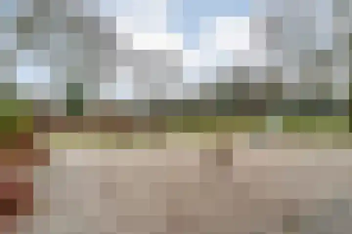 Leemweg 60 Nieuw-Amsterdam thumbnail 5
