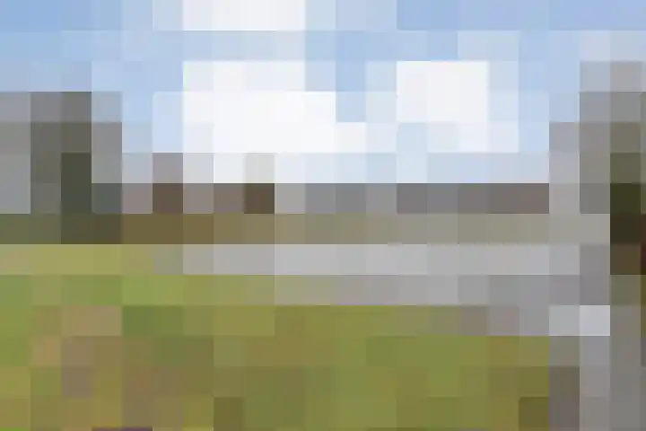 Leemweg 60 Nieuw-Amsterdam thumbnail 6