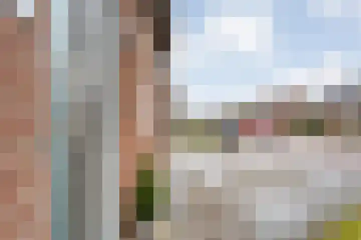 Leemweg 60 Nieuw-Amsterdam thumbnail 8