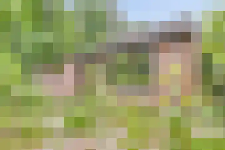 Leemweg 66 Wijchen thumbnail 17