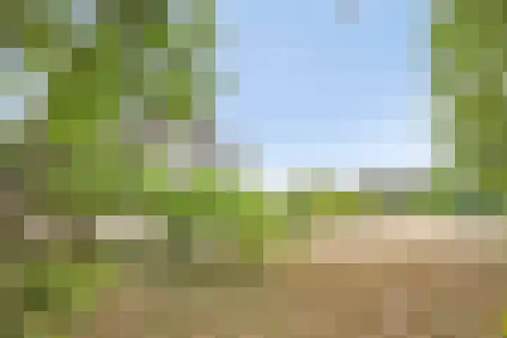 Leemweg 66 Wijchen thumbnail 27