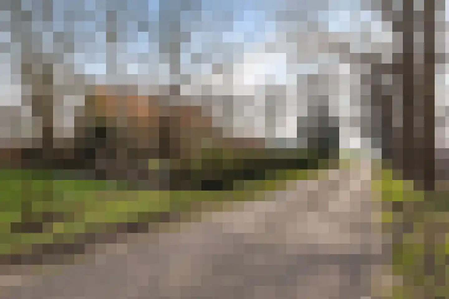 Leemweg 8 Steggerda foto 2