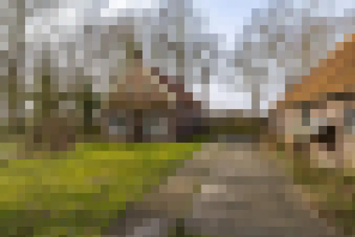 Leemweg 8 Steggerda thumbnail 35