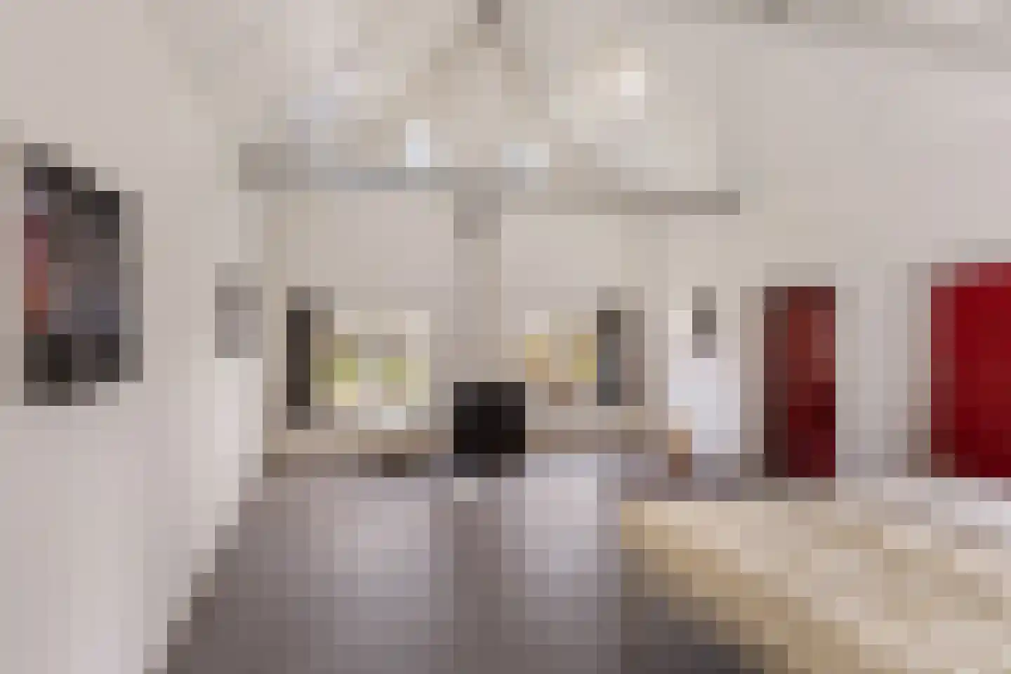Leemweg 8 Steggerda thumbnail 36