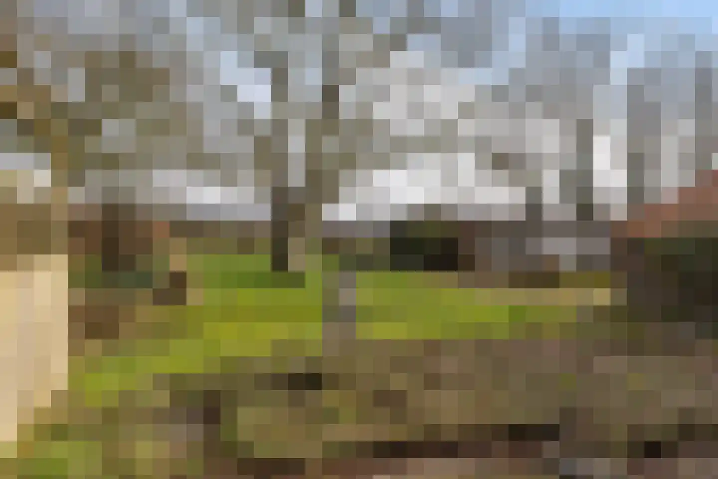 Leemweg 8 Steggerda thumbnail 50