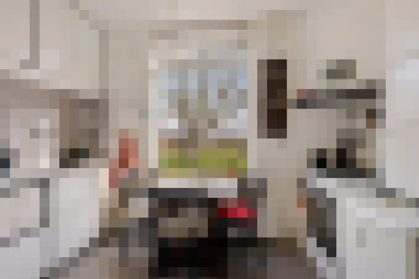 Leemweg 8 Steggerda thumbnail 8