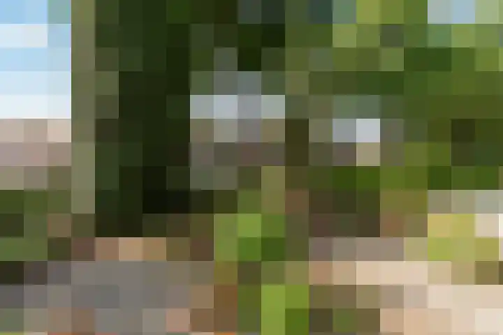 Leemwierde 148 Almere thumbnail 34