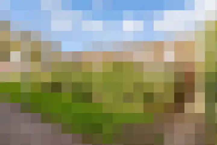 Leemwierde 172 Almere thumbnail 39