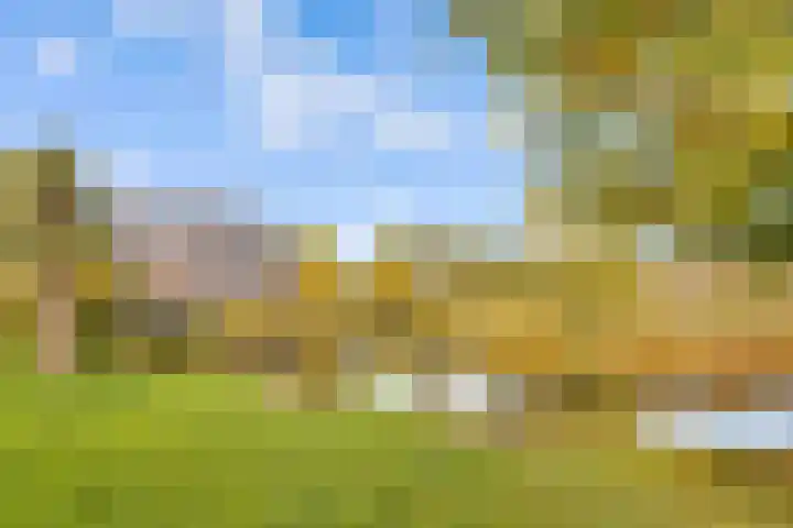Leemwierde 172 Almere thumbnail 43