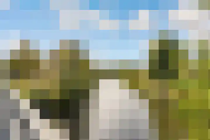 Leemwierde 172 Almere thumbnail 52
