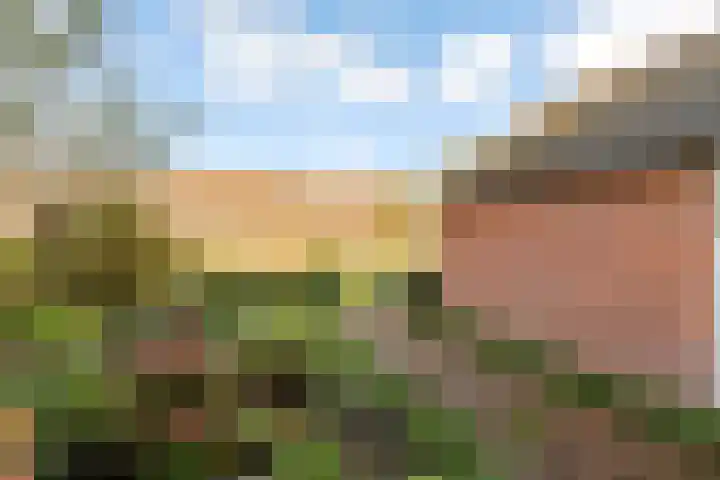 Leemwierde 172 Almere thumbnail 6