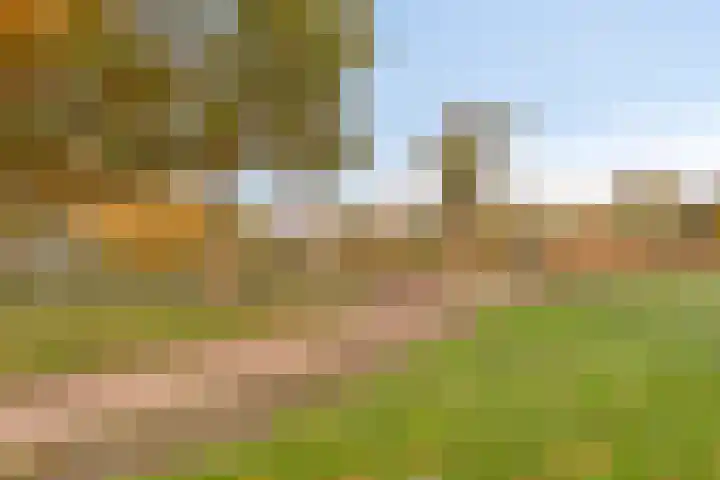 Leemwierde 186 Almere thumbnail 29