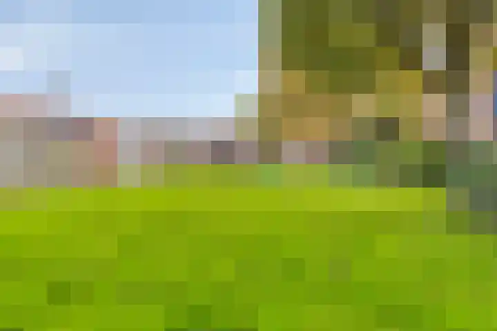 Leemwierde 186 Almere thumbnail 30