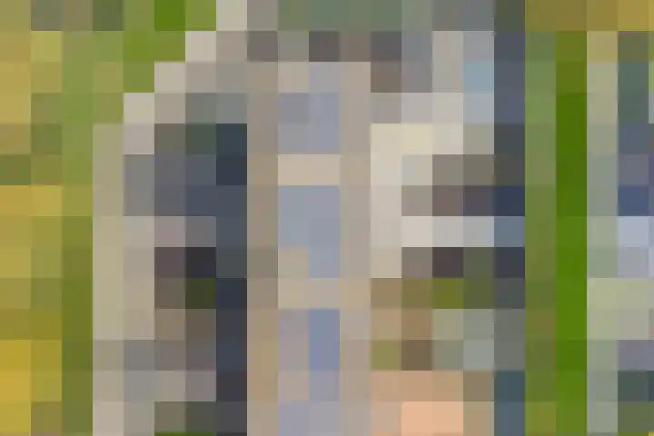 Leemwierde 186 Almere thumbnail 31