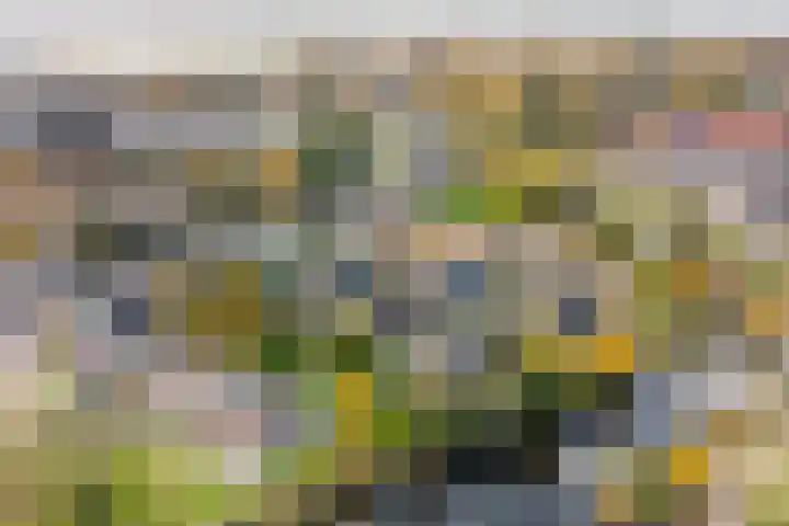 Leemwierde 186 Almere thumbnail 37