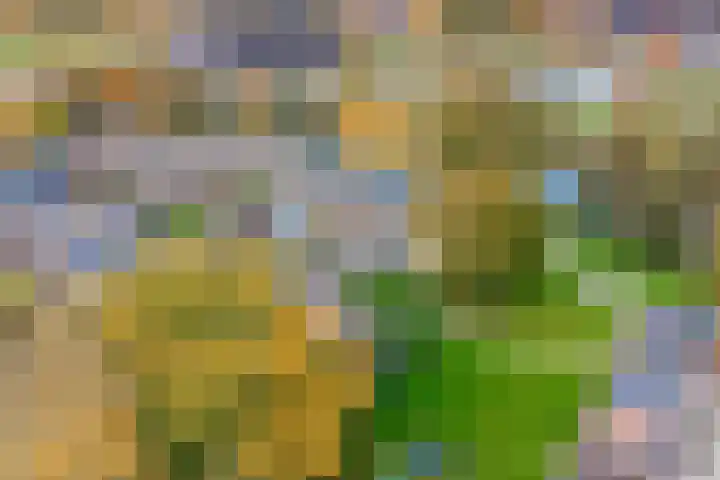 Leemwierde 186 Almere thumbnail 38