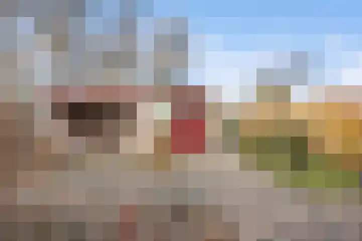 Leemwierde 211 Almere thumbnail 13