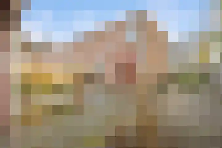 Leemwierde 211 Almere thumbnail 25