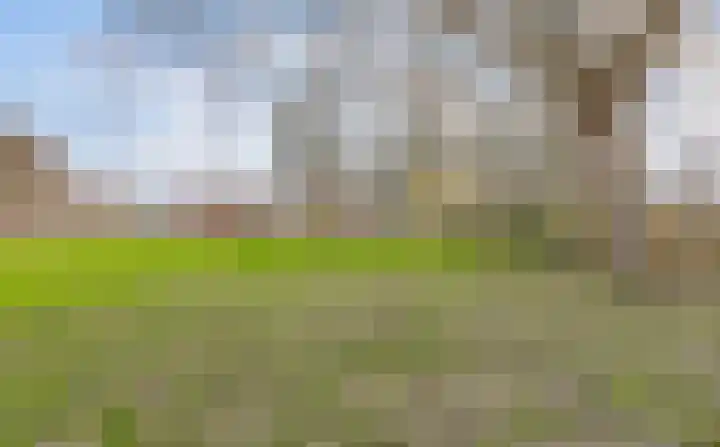 Leemwierde 211 Almere thumbnail 32