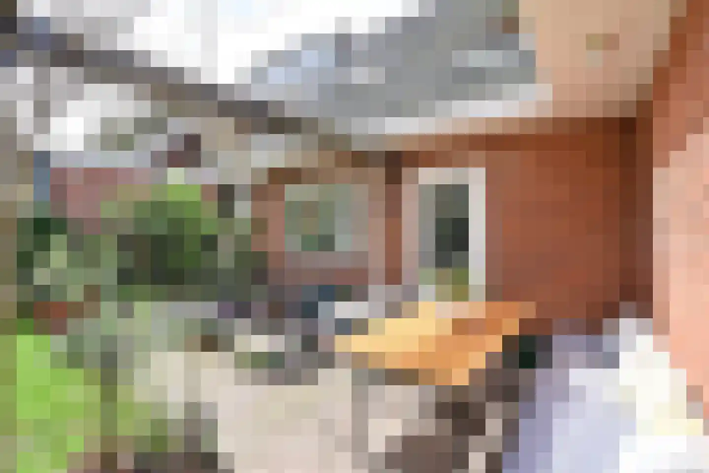 Leemzeulder 2 b Laren thumbnail 19