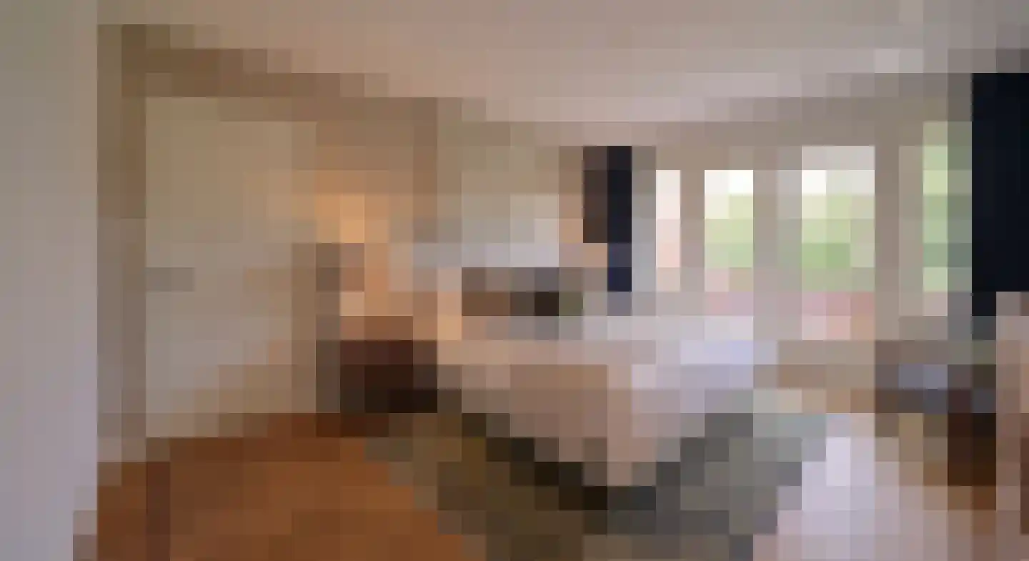 Leemzeulder 2 b Laren thumbnail 24