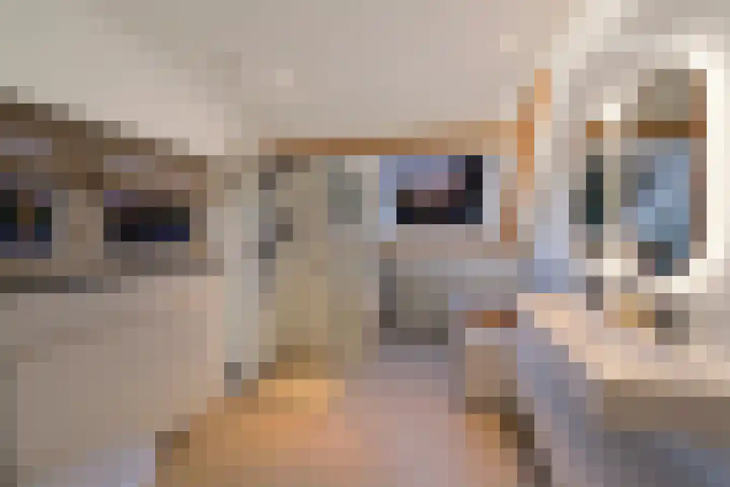Leemzeulder 2 b Laren thumbnail 26