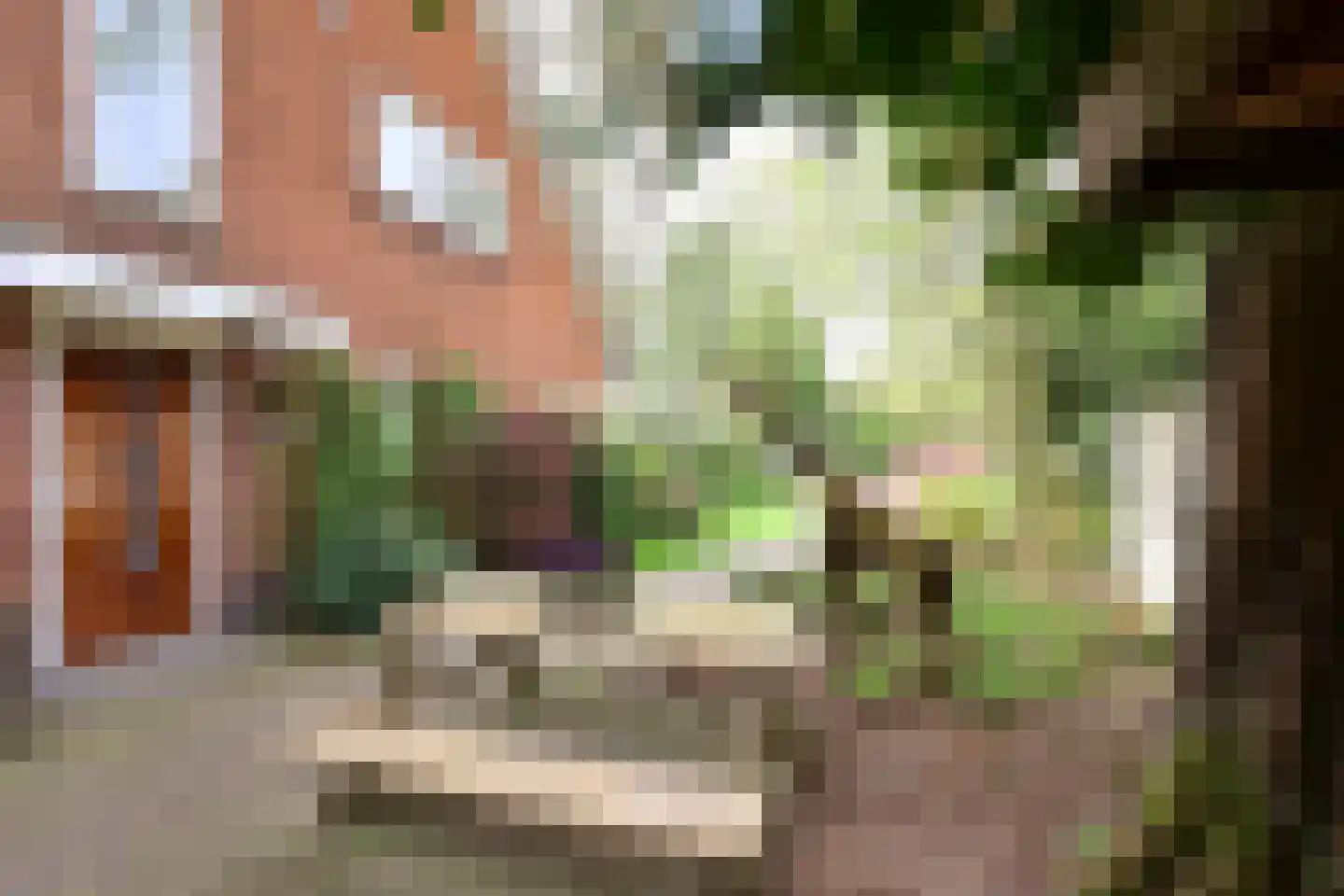 Leemzeulder 2 b Laren thumbnail 29