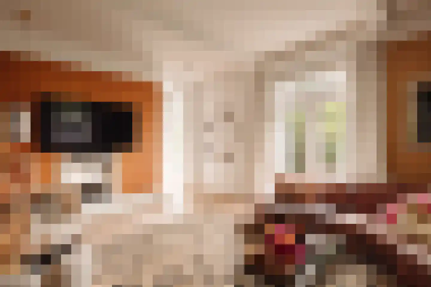 Leemzeulder 6 Laren thumbnail 12