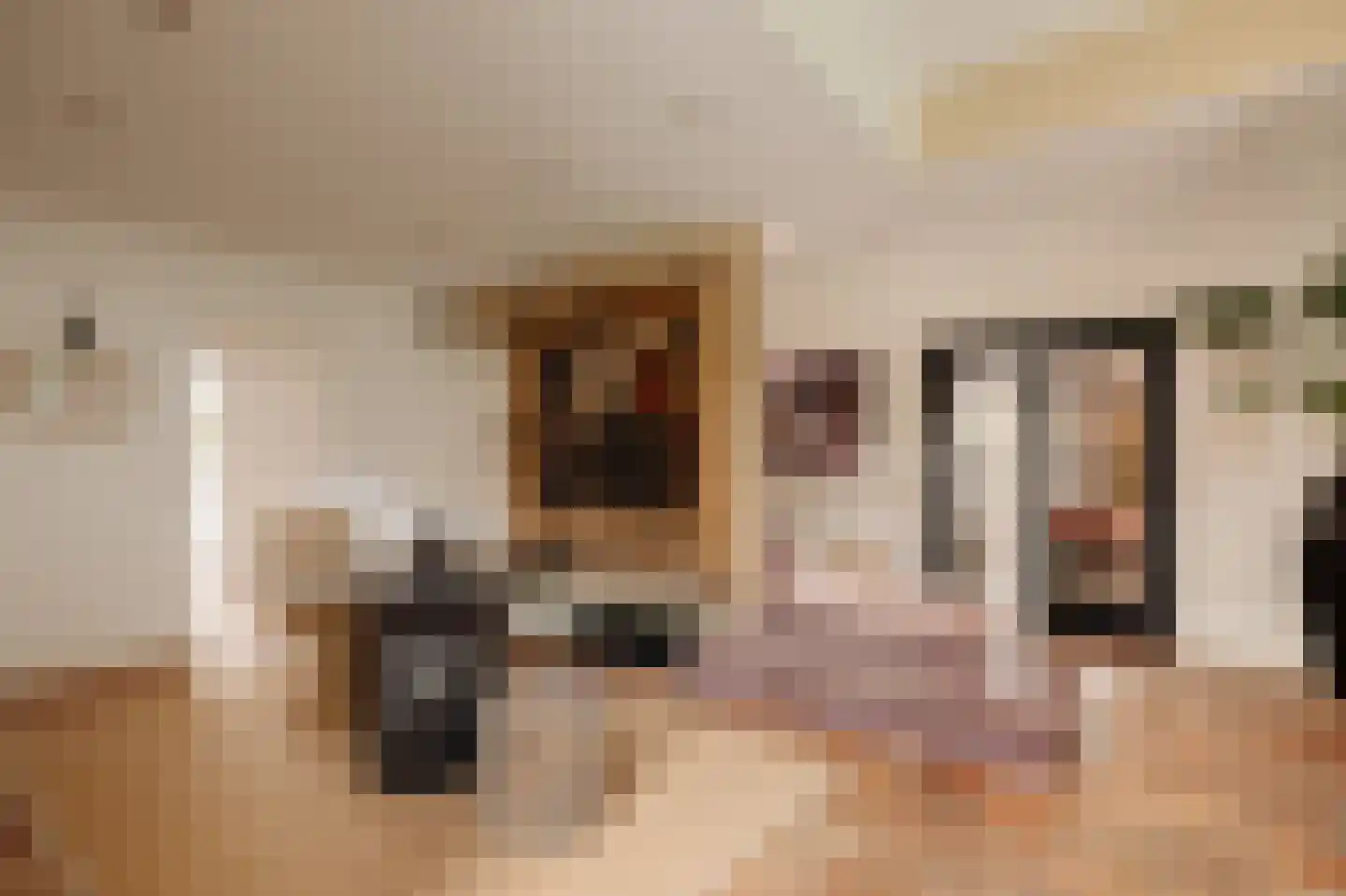Leemzeulder 6 Laren thumbnail 14