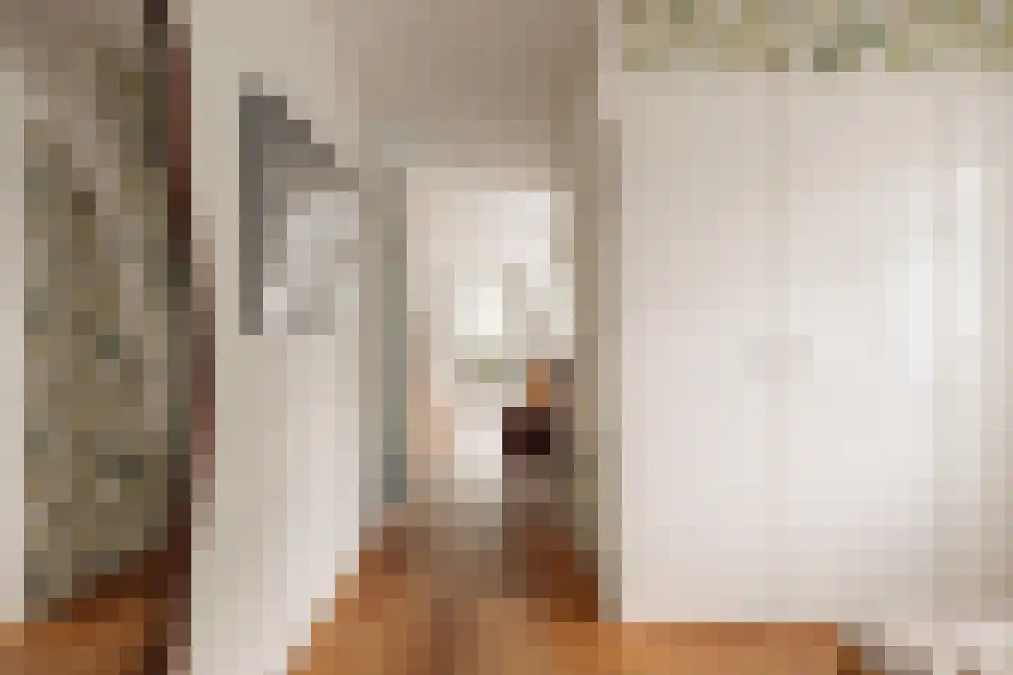 Leemzeulder 6 Laren thumbnail 15