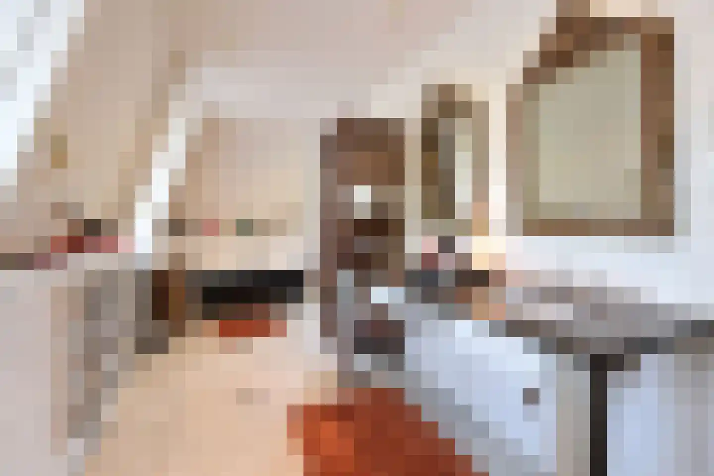 Leemzeulder 6 Laren thumbnail 21