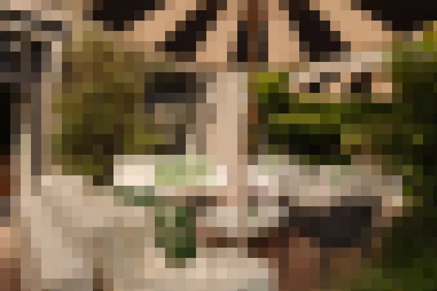Leemzeulder 6 Laren thumbnail 28