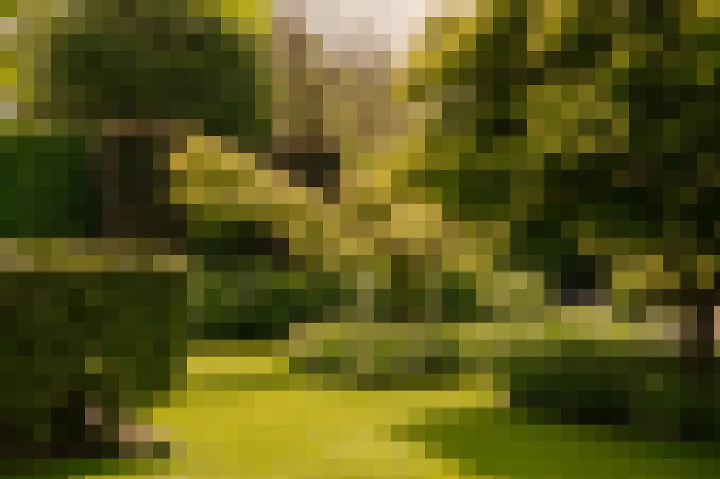 Leemzeulder 6 Laren thumbnail 29