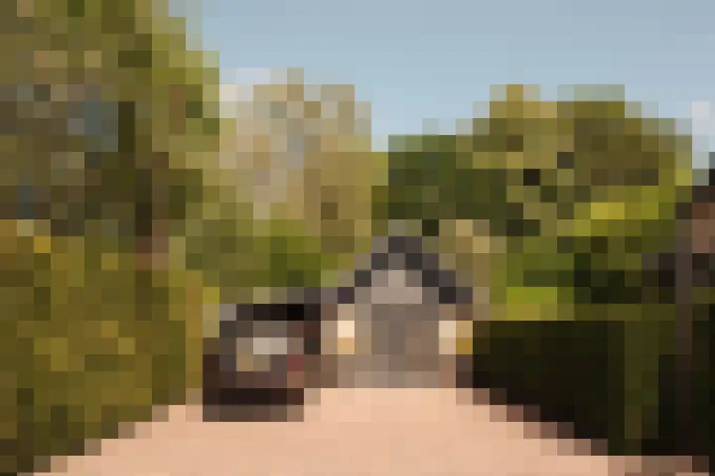 Leemzeulder 6 Laren thumbnail 30