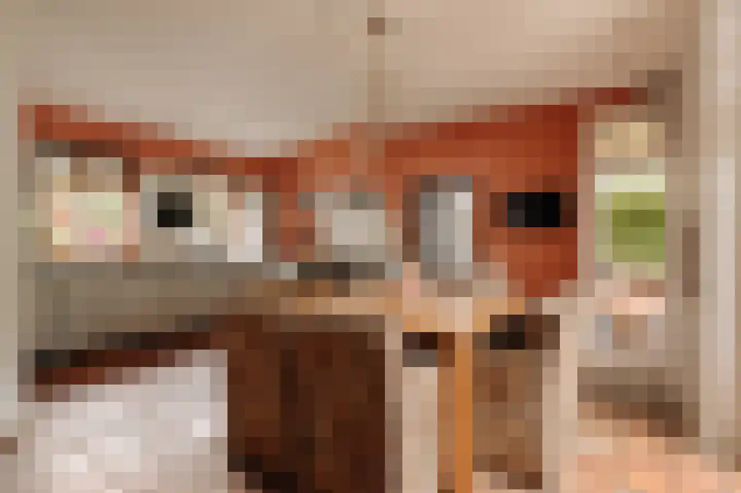 Leemzeulder 6 Laren thumbnail 6