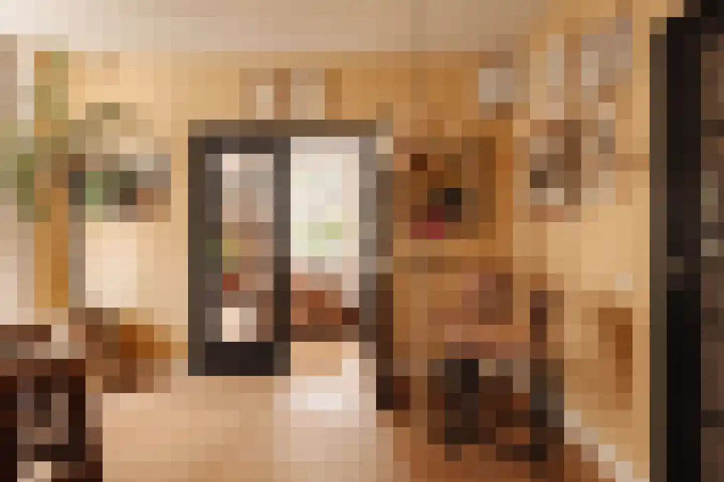 Leemzeulder 6 Laren thumbnail 8