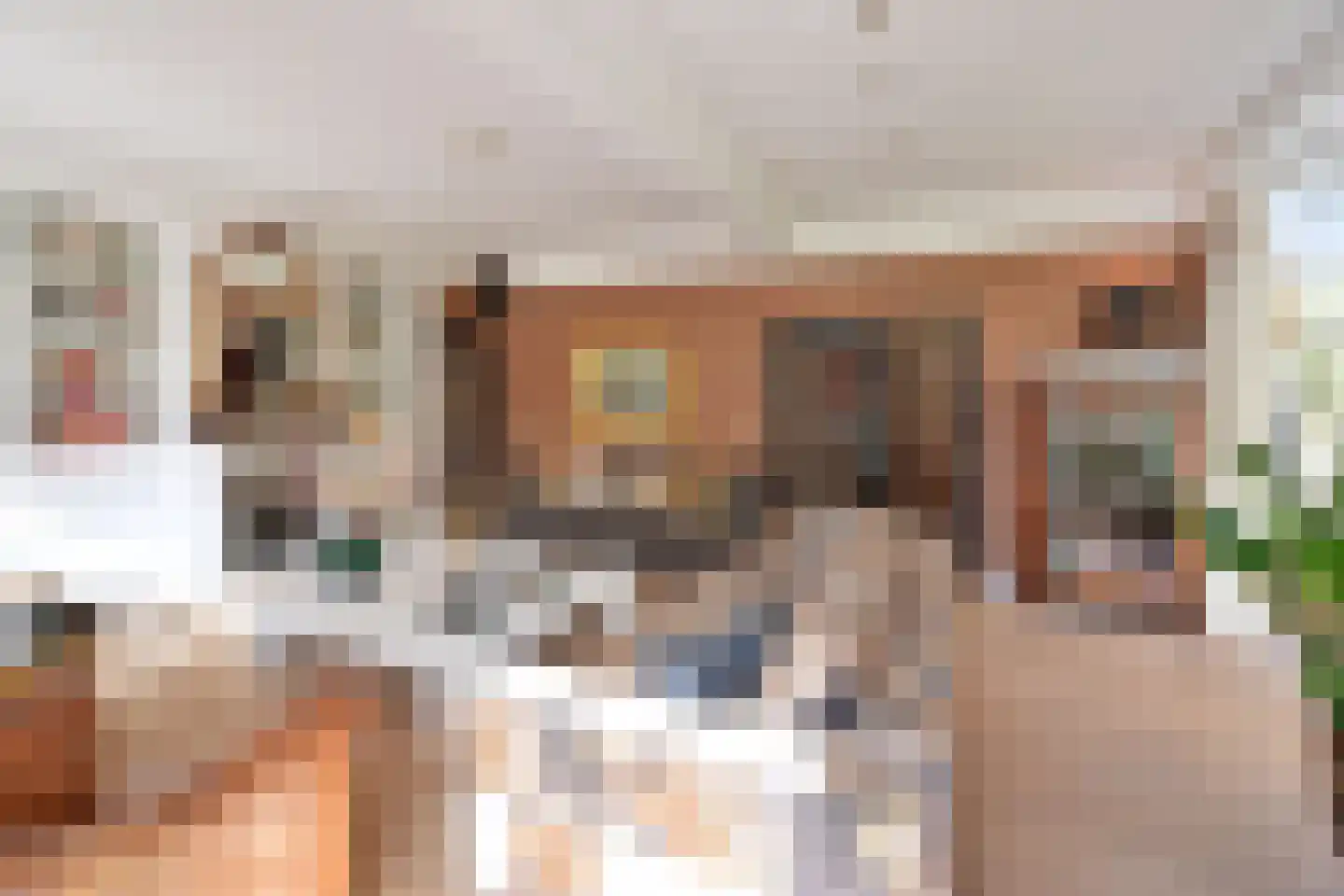 Leemzeulder 6 Laren thumbnail 8