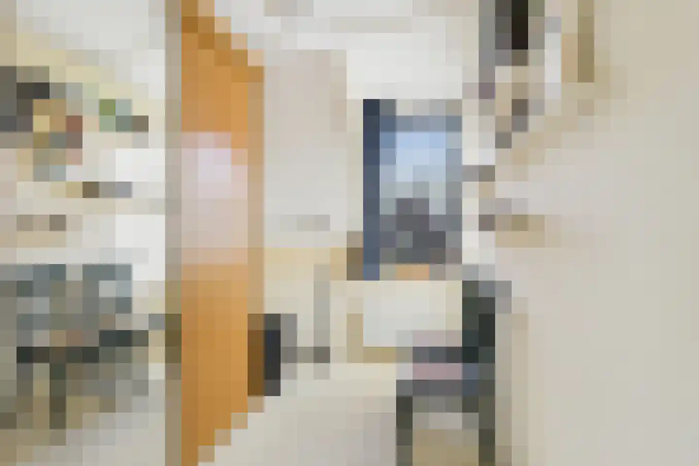 Leen Evertsestraat 4 Oudelande thumbnail 24