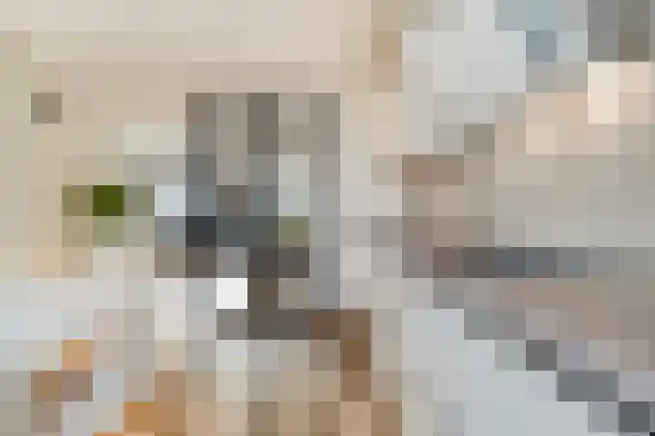 Leen Heskampstraat 3 Coevorden thumbnail 11
