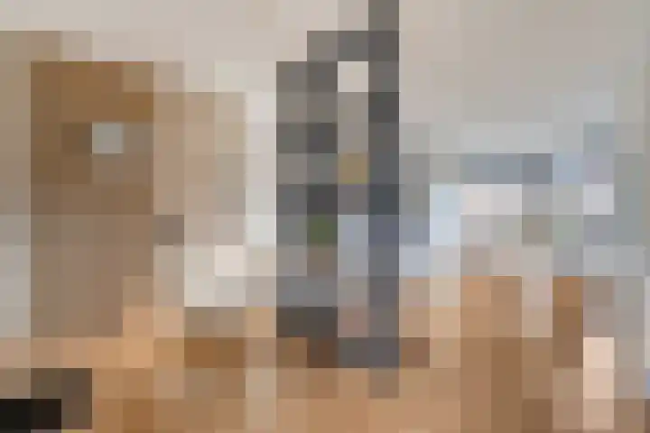 Leen Heskampstraat 3 Coevorden thumbnail 14