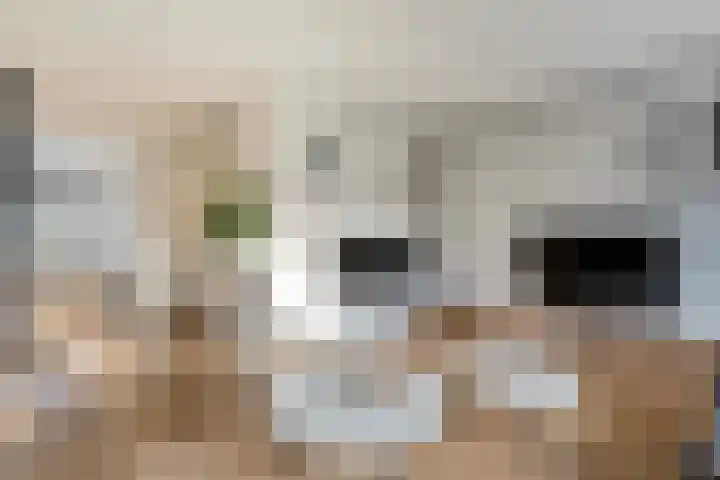 Leen Heskampstraat 3 Coevorden thumbnail 18