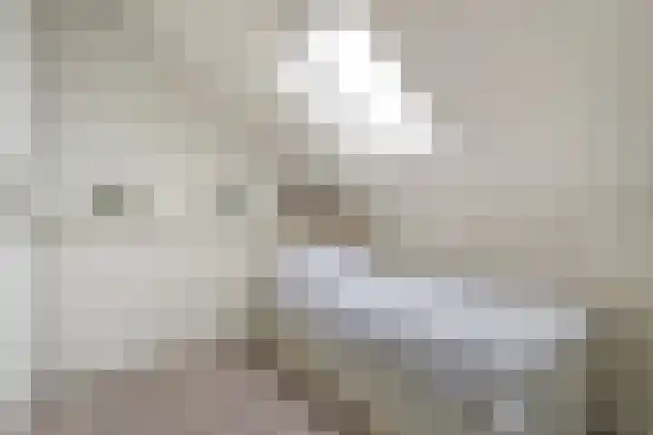 Leen Heskampstraat 3 Coevorden thumbnail 36