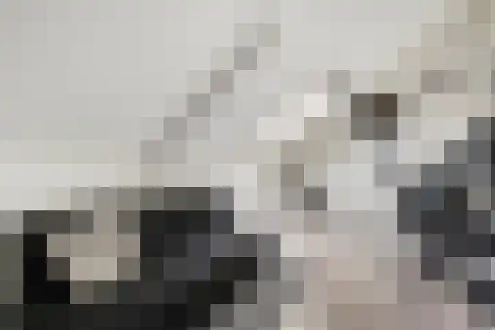 Leen Heskampstraat 3 Coevorden thumbnail 37