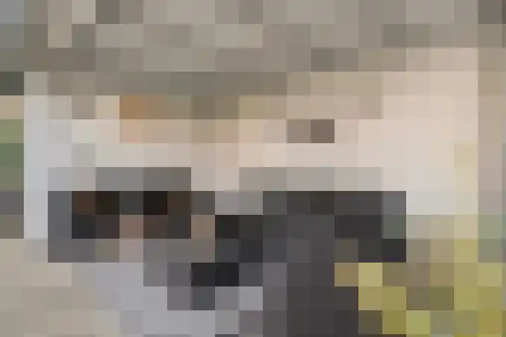Leen Heskampstraat 3 Coevorden thumbnail 41